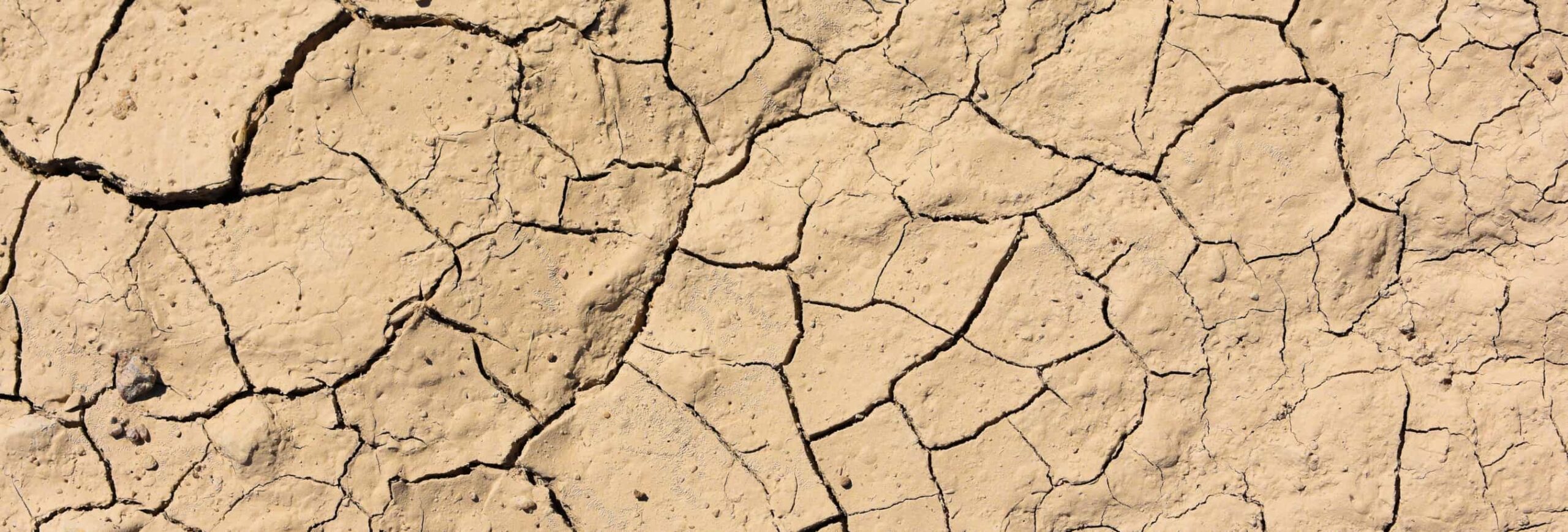Comprendre le retrait-gonflement des argiles : mécanismes et impacts sur l’habitat