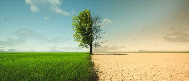 Le réchauffement climatique et le retrait-gonflement des argiles : un phénomène aggravé ?